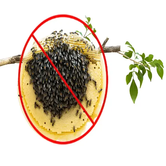 Professional beehive removal service in Dubai for homes and commercial properties