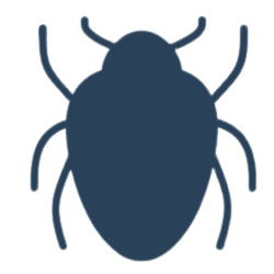 Bed Bugs Pest Control Dubai