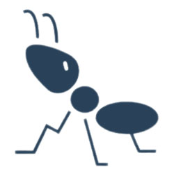 Ants Pest Control Dubai