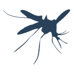 Mosquitoes Pest Control Dubai