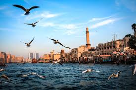 Pest Control Bur Dubai