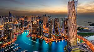 Pest Control Dubai Marina